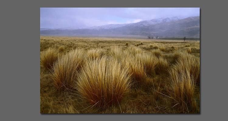  NZ Photo Tours