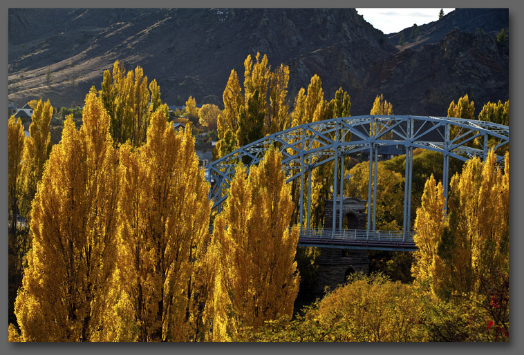 Autumn Colours in Central Otago Alexandra