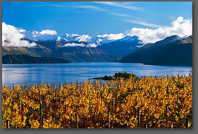 Central Otago Vineyards