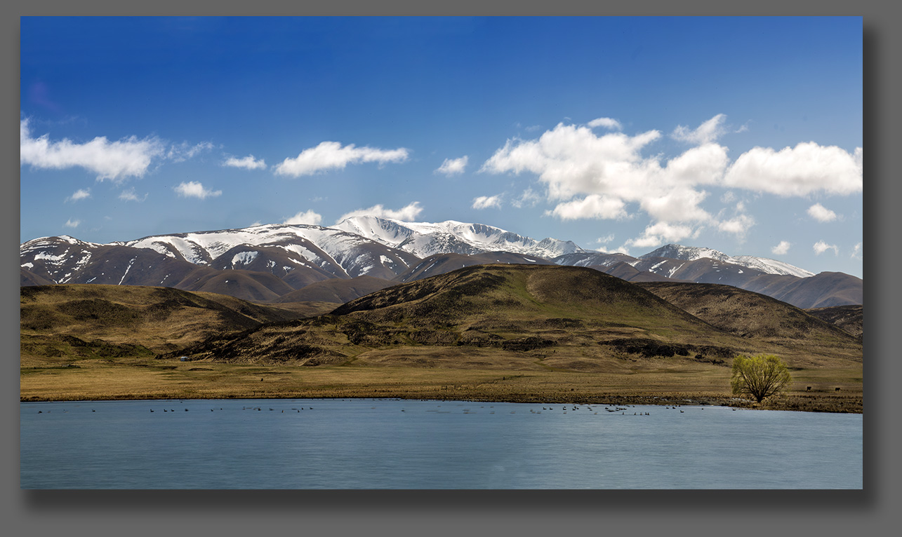 NZ Phototours